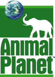 Animal Planet